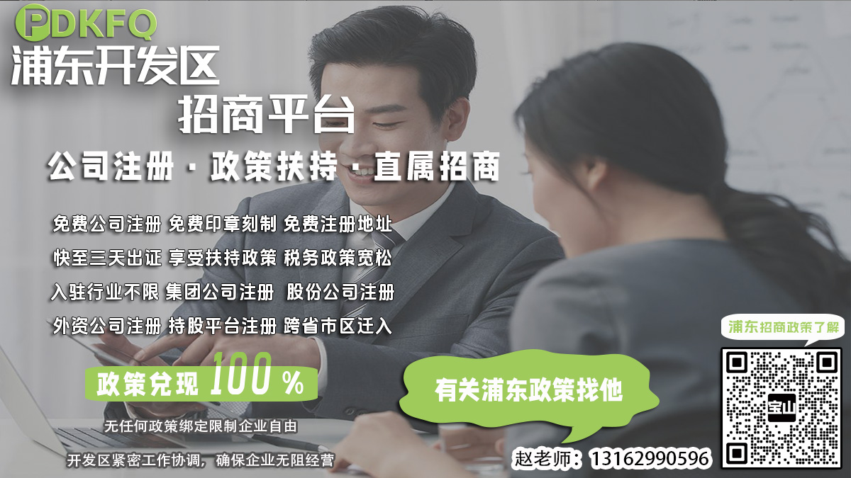 浦东临港园区企业税务筹划，如何办理税务登记变更通知查询？